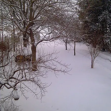 ベッド・アンド・ブレックファスト La Quercia E Il Gelso