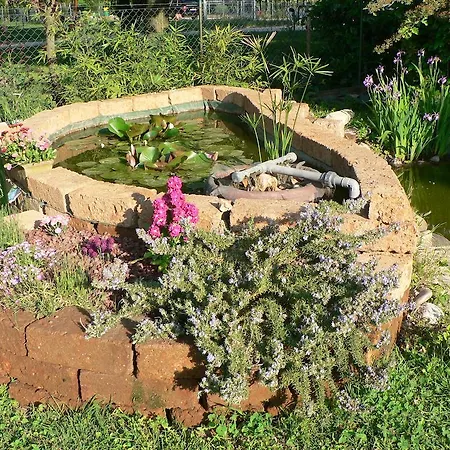 Bed & Breakfast La Quercia E Il Gelso 3*