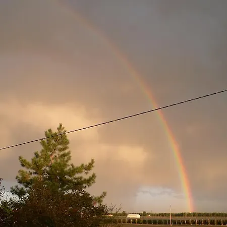 ベッド・アンド・ブレックファスト La Quercia E Il Gelso 3*