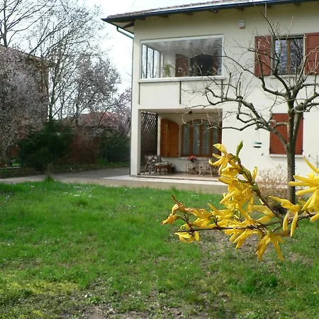 La Quercia E Il Gelso Baricella