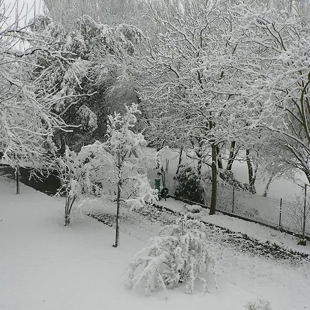 לינה וארוחת בוקר La Quercia E Il Gelso Baricella