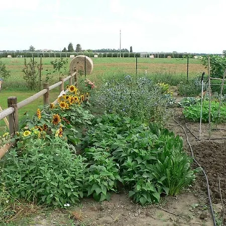 La Quercia E Il Gelso Frühstückspension Baricella