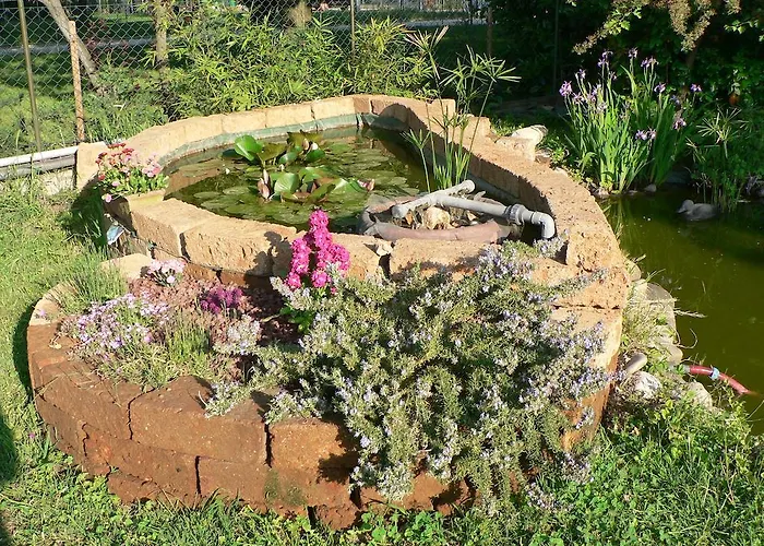 Bed & Breakfast La Quercia E Il Gelso 3*