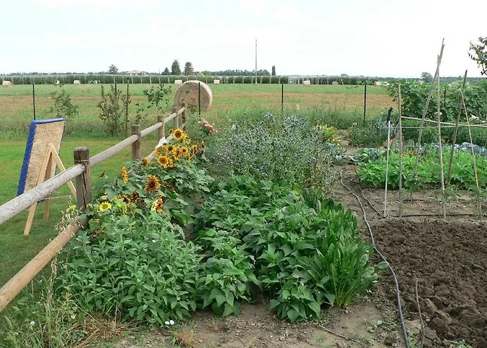 La Quercia E Il Gelso B&B Baricella